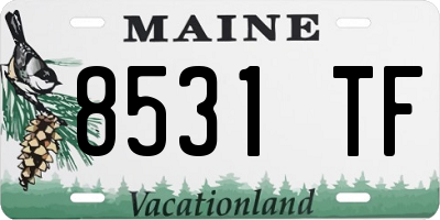 ME license plate 8531TF