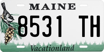 ME license plate 8531TH