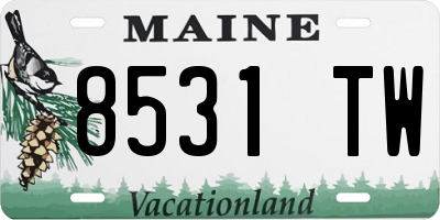 ME license plate 8531TW