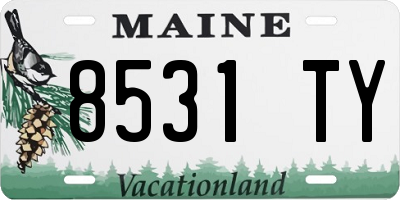 ME license plate 8531TY