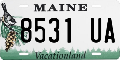 ME license plate 8531UA