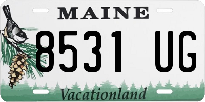 ME license plate 8531UG