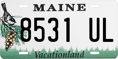 ME license plate 8531UL