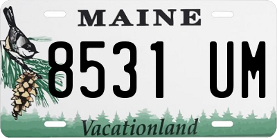 ME license plate 8531UM