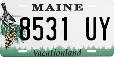 ME license plate 8531UY