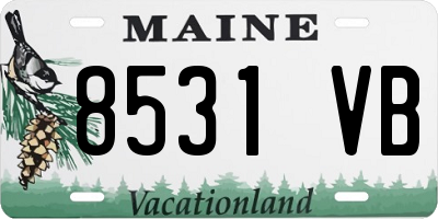 ME license plate 8531VB