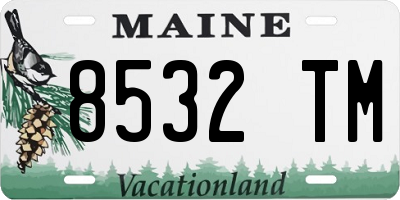 ME license plate 8532TM
