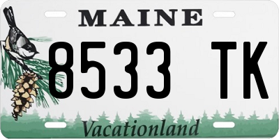 ME license plate 8533TK