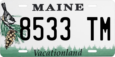 ME license plate 8533TM