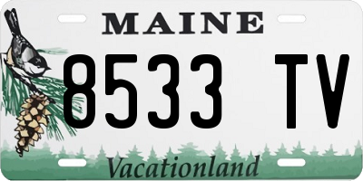 ME license plate 8533TV