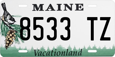 ME license plate 8533TZ