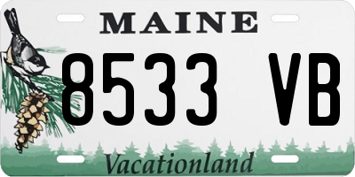 ME license plate 8533VB