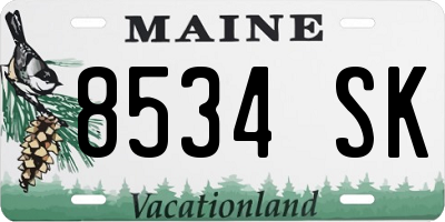 ME license plate 8534SK