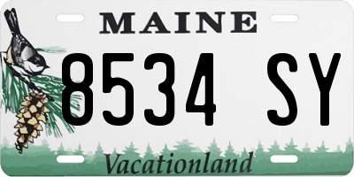 ME license plate 8534SY