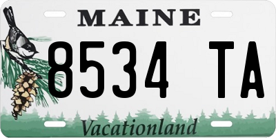 ME license plate 8534TA