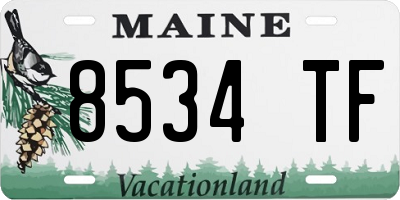 ME license plate 8534TF
