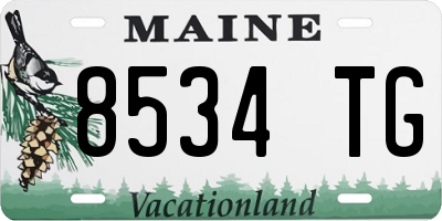 ME license plate 8534TG