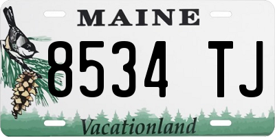 ME license plate 8534TJ