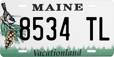 ME license plate 8534TL