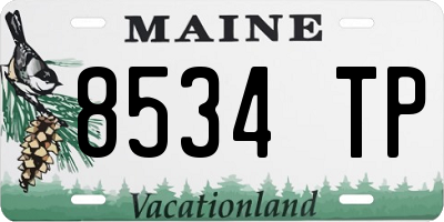 ME license plate 8534TP