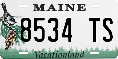 ME license plate 8534TS