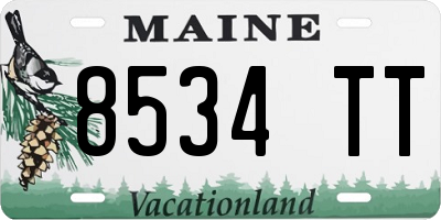 ME license plate 8534TT