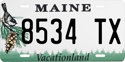 ME license plate 8534TX