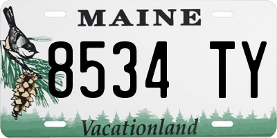 ME license plate 8534TY