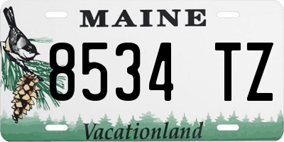 ME license plate 8534TZ