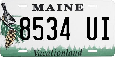 ME license plate 8534UI