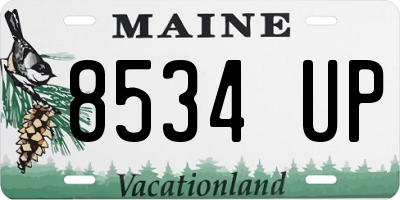 ME license plate 8534UP