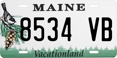 ME license plate 8534VB