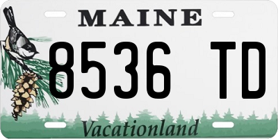 ME license plate 8536TD