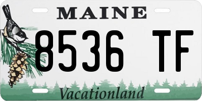 ME license plate 8536TF