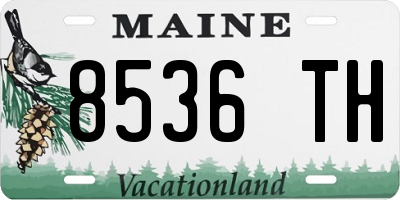 ME license plate 8536TH