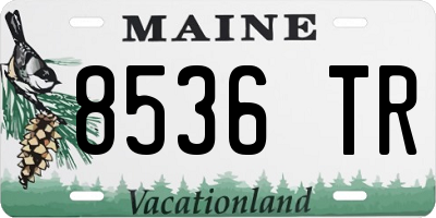 ME license plate 8536TR