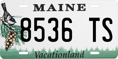 ME license plate 8536TS