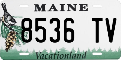 ME license plate 8536TV