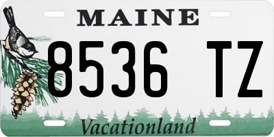ME license plate 8536TZ