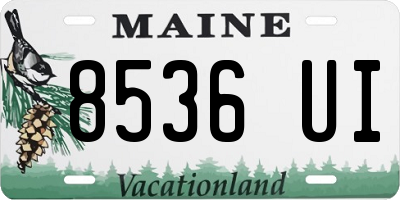 ME license plate 8536UI