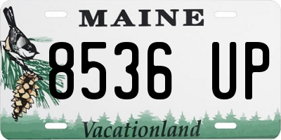 ME license plate 8536UP