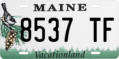 ME license plate 8537TF