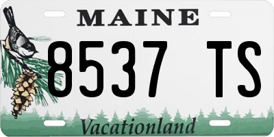 ME license plate 8537TS