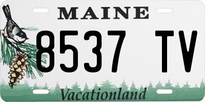 ME license plate 8537TV