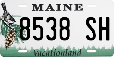 ME license plate 8538SH