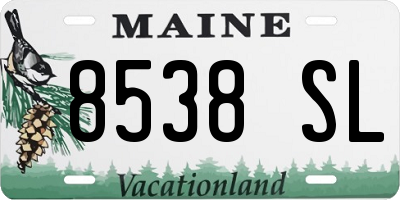 ME license plate 8538SL