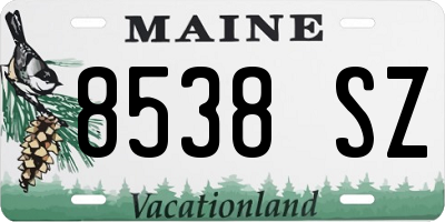 ME license plate 8538SZ