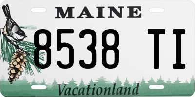 ME license plate 8538TI