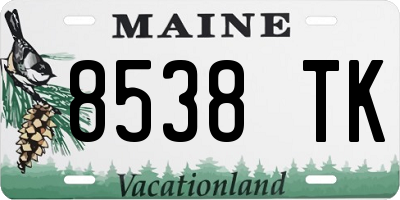 ME license plate 8538TK