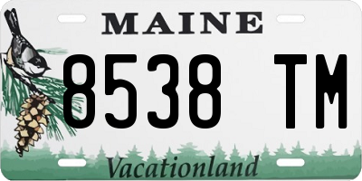 ME license plate 8538TM